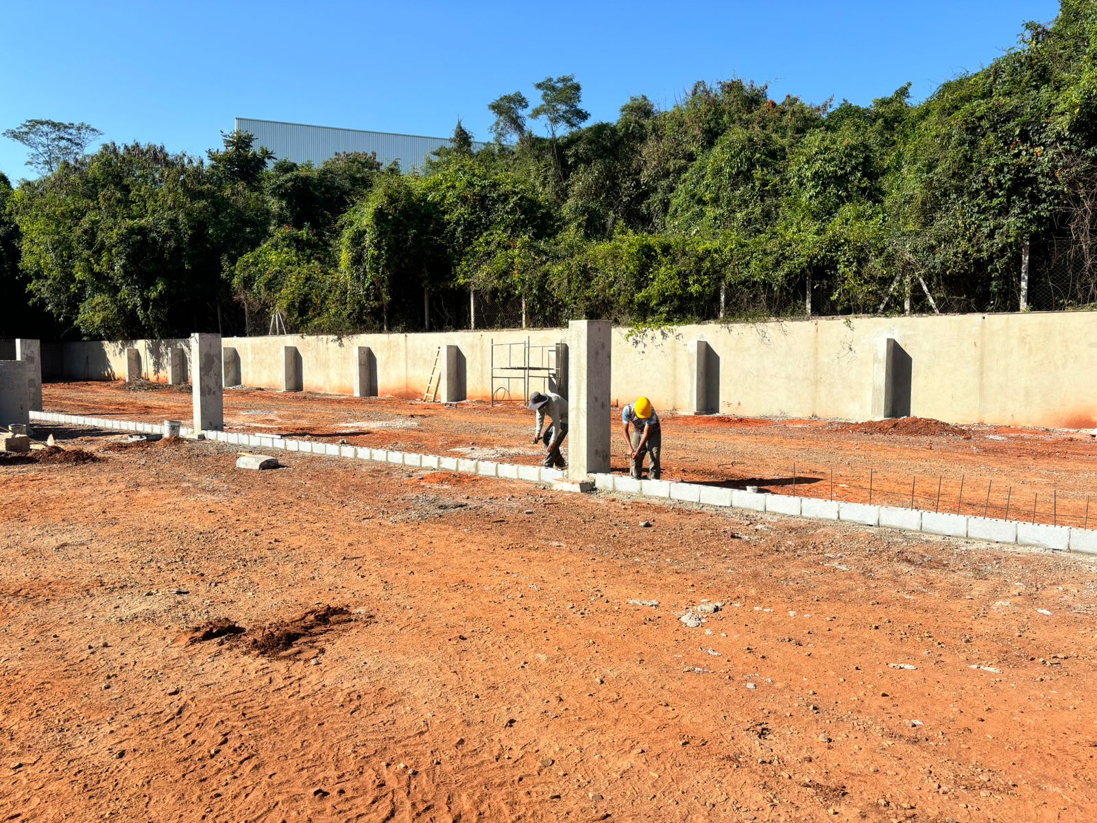 WhatsApp Image 2024-07-22 at 09.36.17